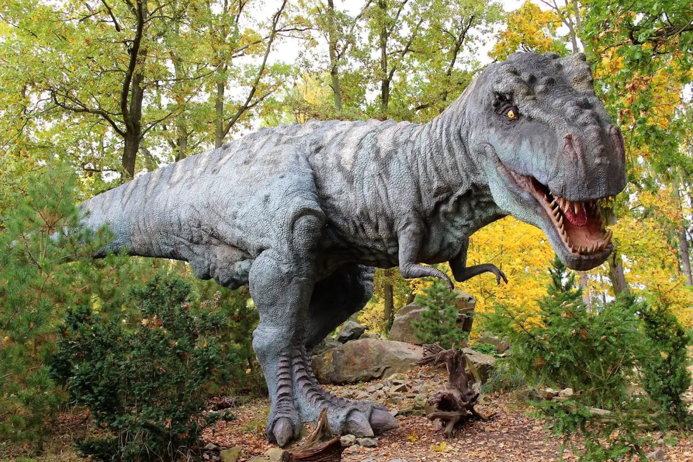 DinoPark ZOO Plzeň