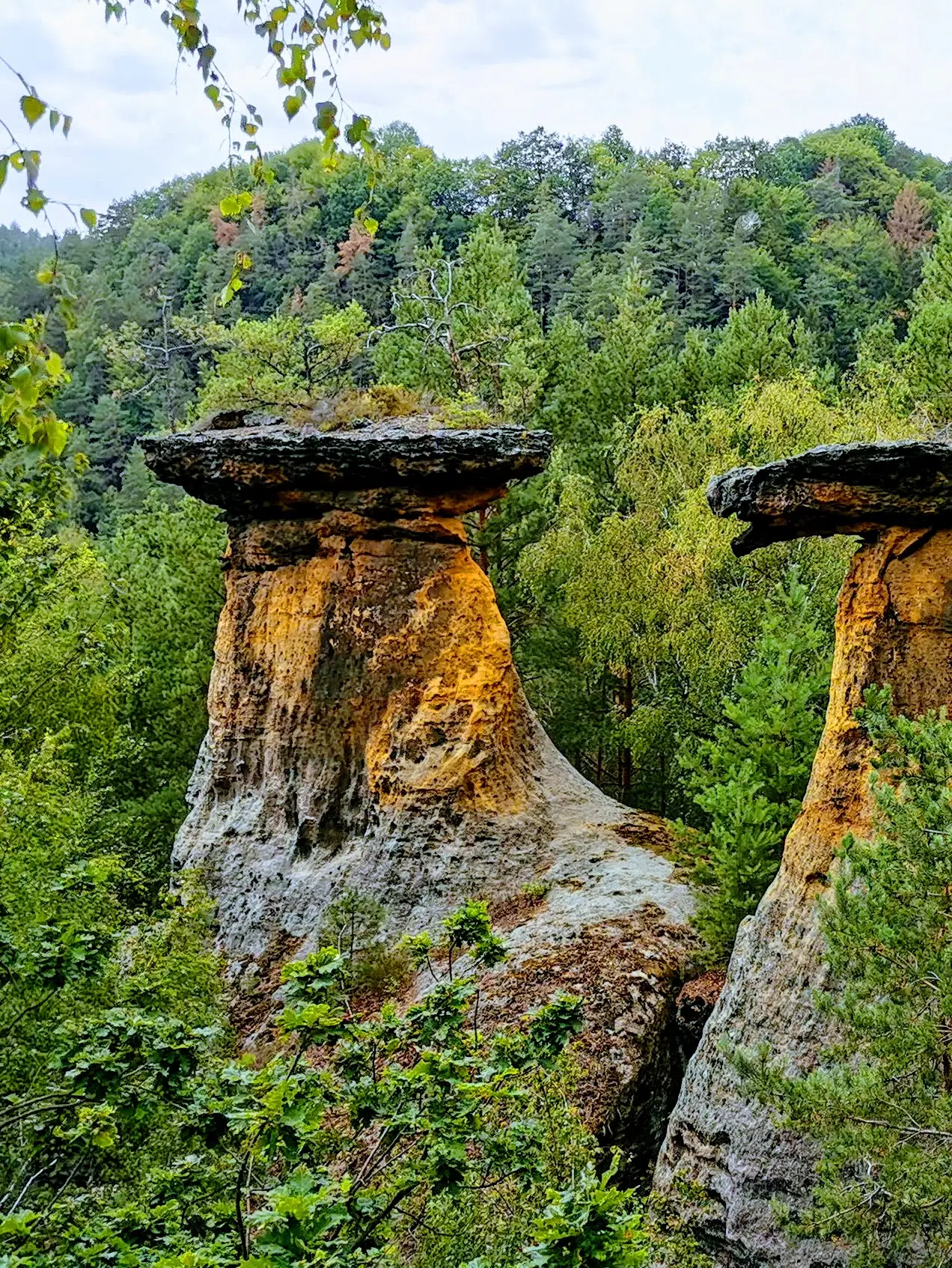 Pokličky